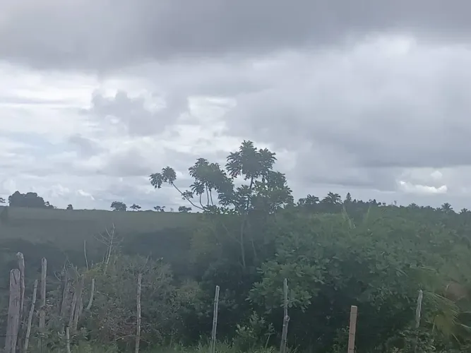 Terreno em itapecirica mata de são João próximo a Imbassaí 