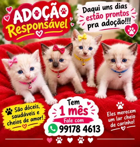 LINDEZAS