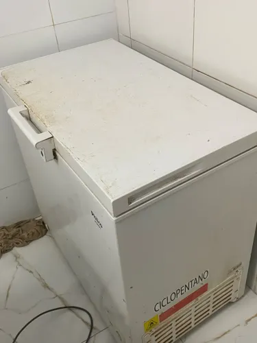 Freezer horizontal