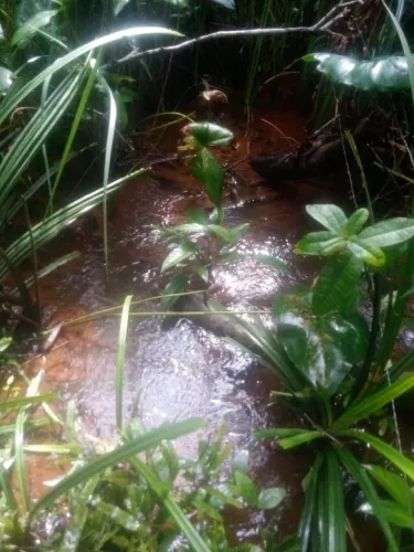 Terreno em Barra de Pojuca