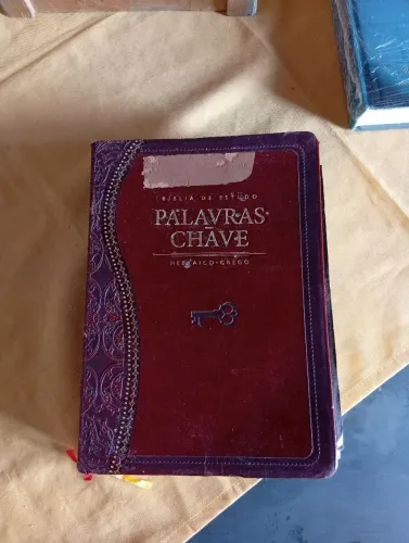 Bíblia de estudo Palavras-chave