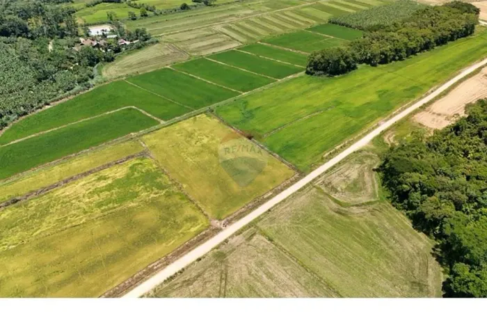Liberdade de viver no campo e estar próximo da cidade
