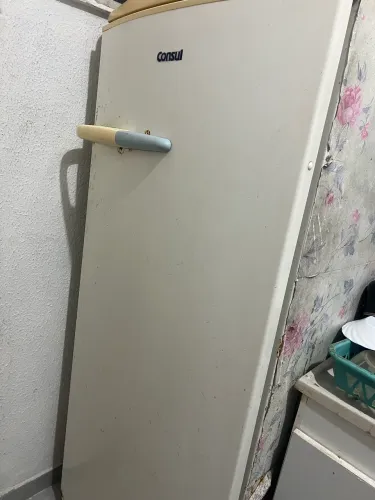 Vendo geladeira 