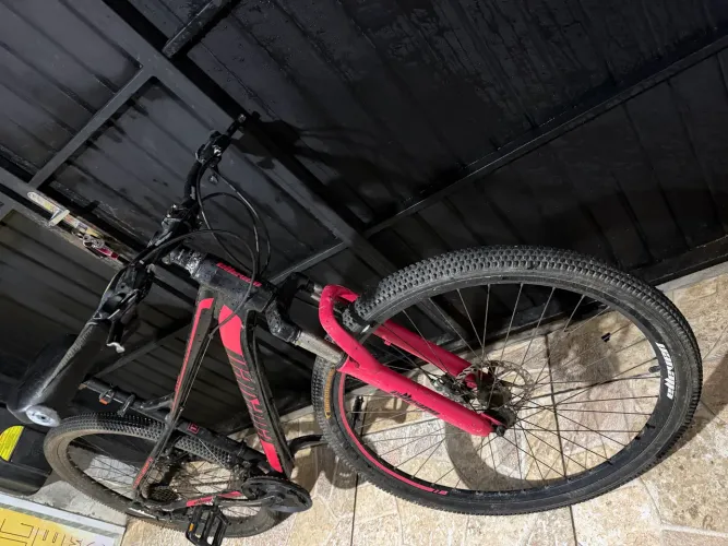 Bicicleta