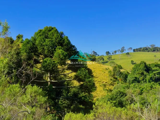 Bosque das Águas | Terreno/Lote à Venda com 20.000m² por R$ 340.000