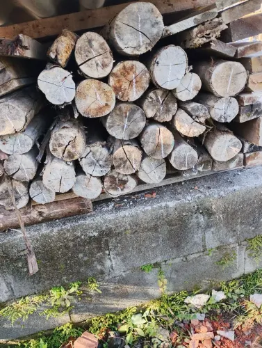Escoras de eucalipto reforçado