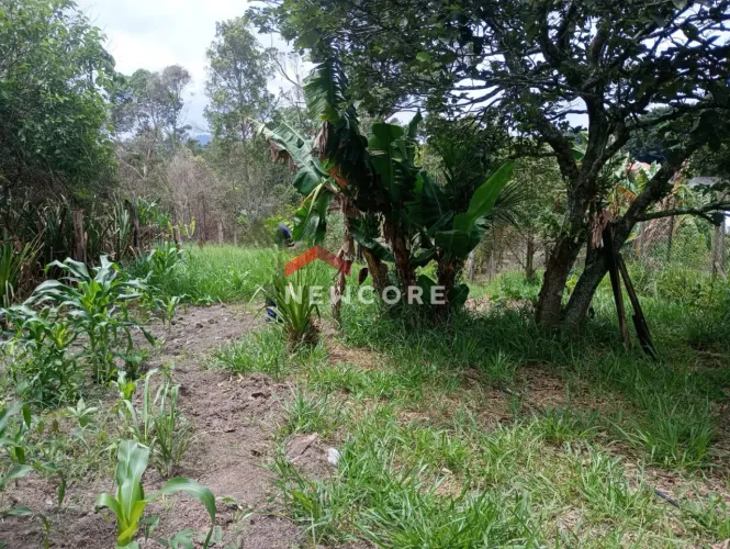 Lote em Avenida Japão - Conjunto Residencial Santo Ângelo - Mogi das Cruzes/SP