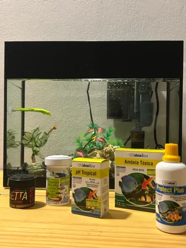 Kit Aquário 16L Premium Completo (Praticamente Novo!)