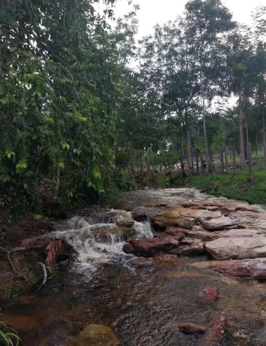 Sítio KM 144 AM 010 RIO PRETO DA EVA 