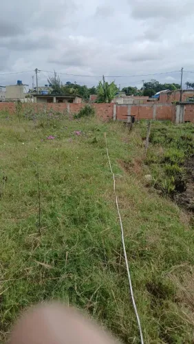 Terreno