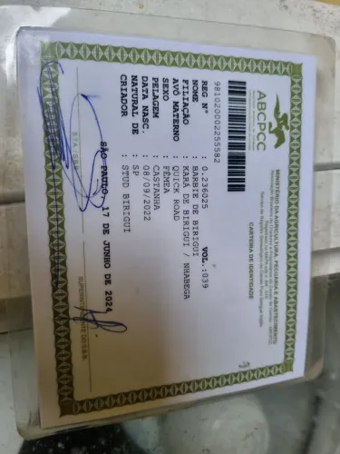 Egua linda demais limpinha serve pra qualquer esporte
