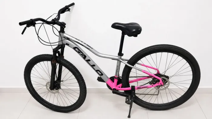 Bicicleta aro 29 Gallo alumínio