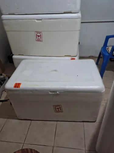 Caixas de isopor 170L usadas em ótimo estado