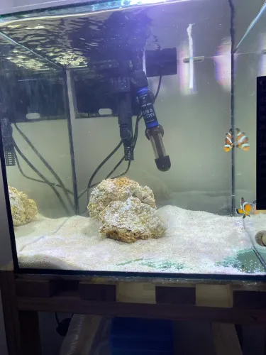 Vendo aquario marinho