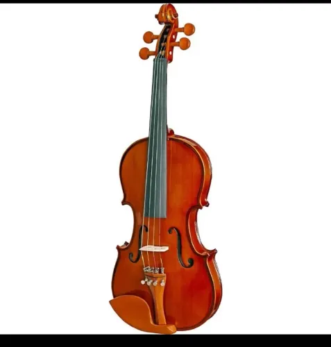 Violino de adulto