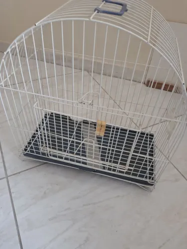 Gaiola pequena de transporte 