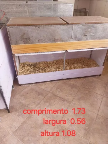 pinteiro