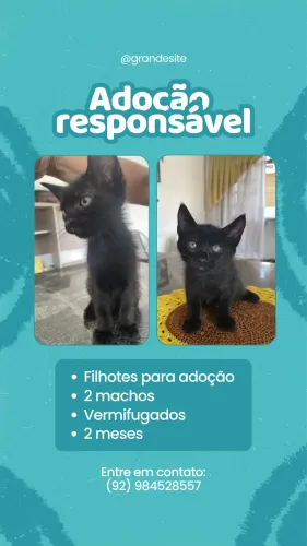 Adoção responsável
