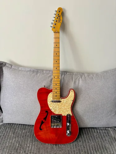 Tagima Telecaster Thinline - ?Era Seizi? (Hand Made Brasil)