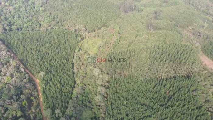 FAZENDA com 2 dormitórios à venda com 1331000m² por R$ 6.300.000,00 no bairro TUNAS - TUNA
