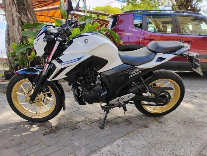 Fazer fz25