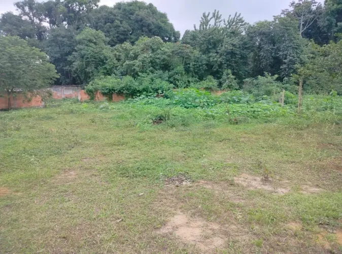 Terreno