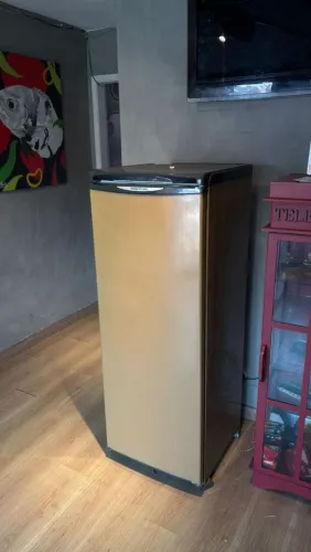 Freezer vertical