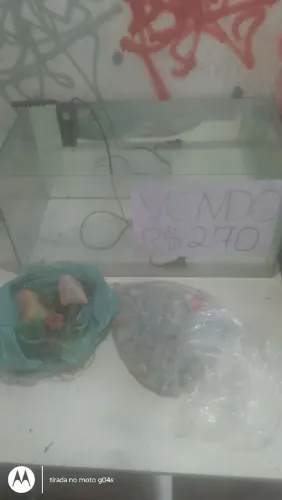 Faço rolo por caixa de som