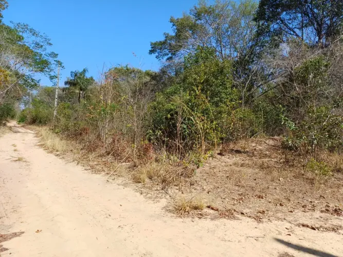 Imóvel para venda tem 55000 metros quadrados em Santana - Teresina - PI
