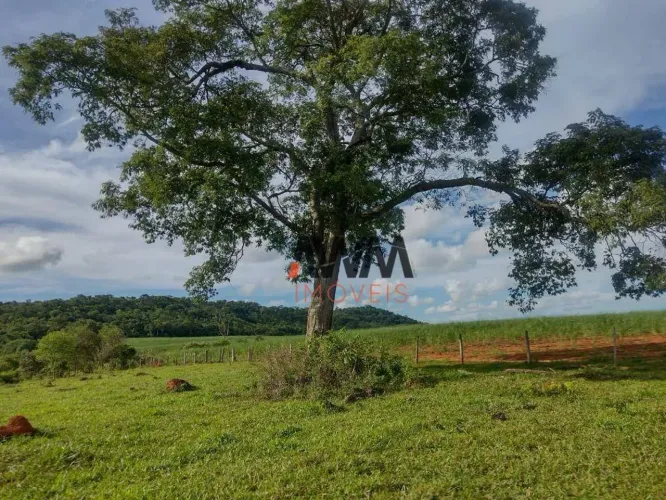 Fazenda à venda, 871200 m² por R$ 5.400.000,00 - Vila Olinda - Anicuns/GO