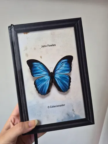 O colecionador - John Fowles - livro seminovo - capa dura