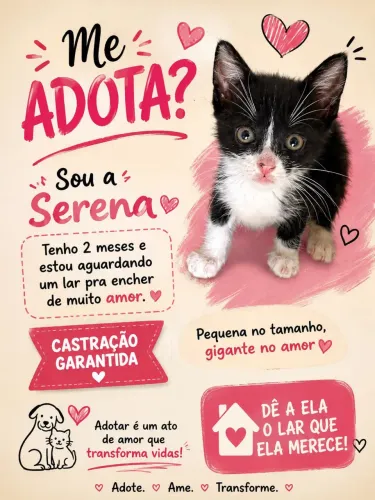 Gatinha para adoção 