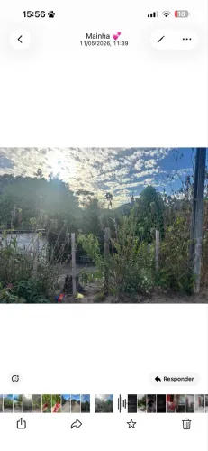 Terreno para vender no curado I