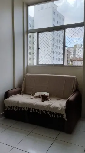 Sofá cama de 2 lugares com baú