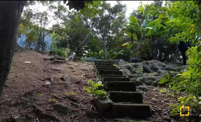 Vendo Terreno no coração do bairro Coqueiros em Florianópolis