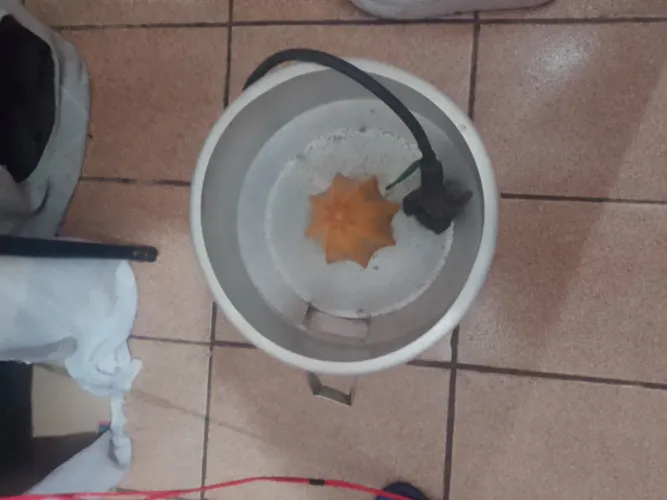 Espremedor de laranja industrial