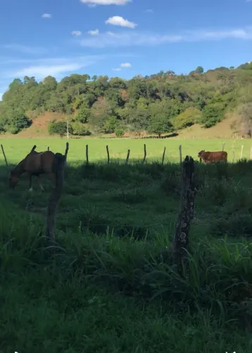 FAZENDA - Credito Rural a partir de R$50mil + Parcelas