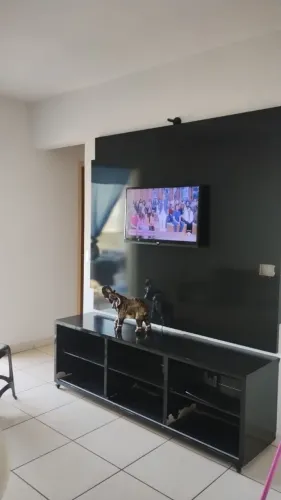 Vendo por motivo de mudança