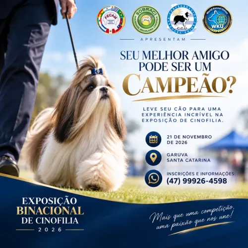 VOCÊ JÁ IMAGINOU SEU CÃO SENDO UM CAMPEÃO?