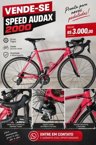Bicicleta speed