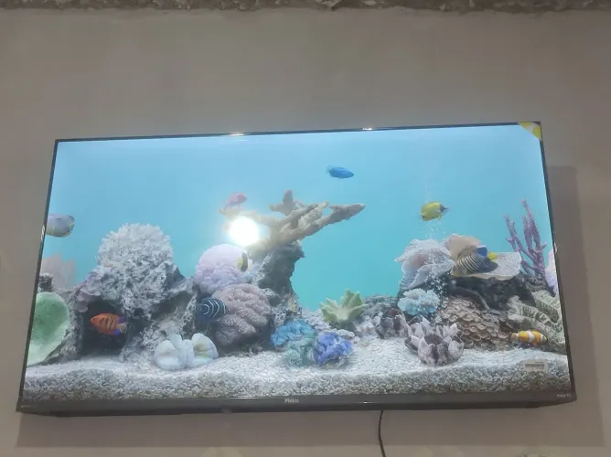 tv fhilco 50 polegadas