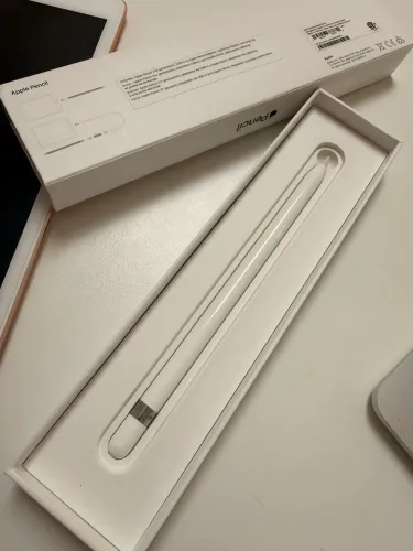 Caneta IPad original 1a geração. 