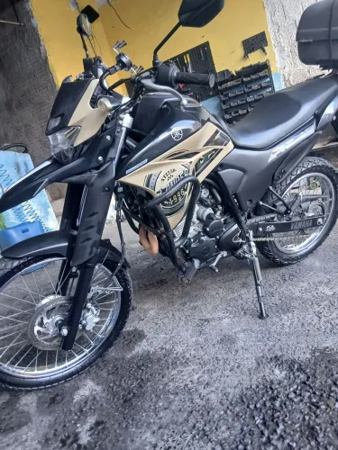 Lander Bege 2021