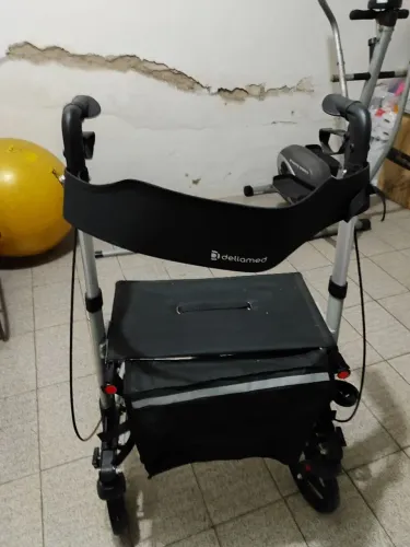 Andador com roseiras e freios