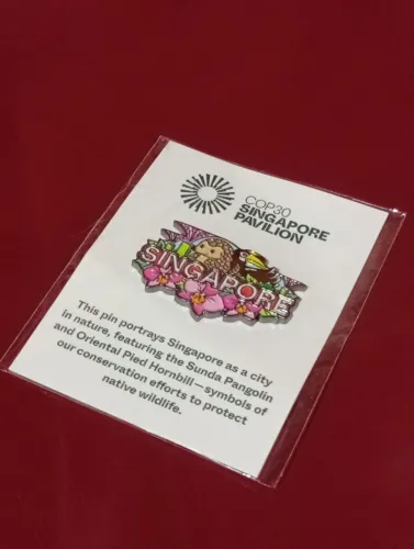 Pin Singapura COP30 Exclusivo Lacrado