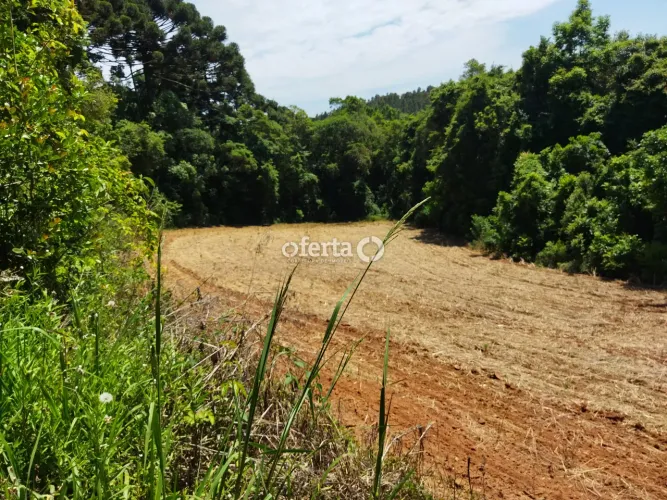 Chácara em Araucária
