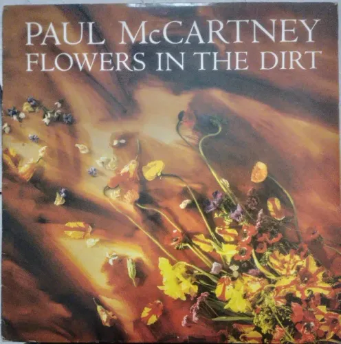Vinil Paul Mccartney.