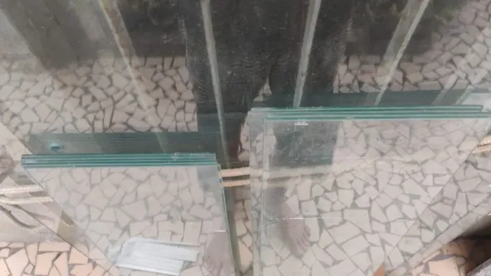 Prateleiras de Vidro Temperado com Trilhos Cremalheira e Mão Francesa para Loja Comércio 