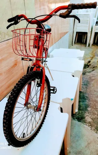 Bicicleta infantil aro 20