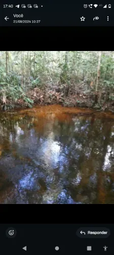 Sítio com natureza exuberante